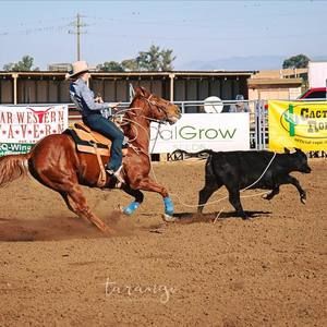 Meet your Posher, Loretta